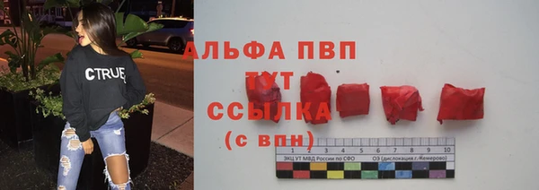 spice Аркадак