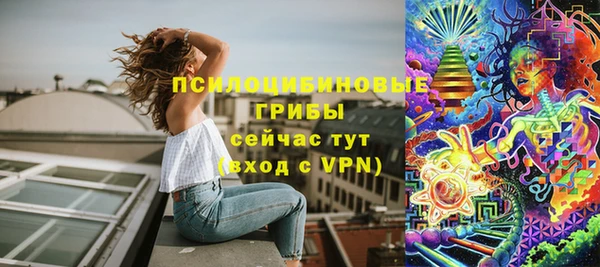 не бодяженный Арсеньев