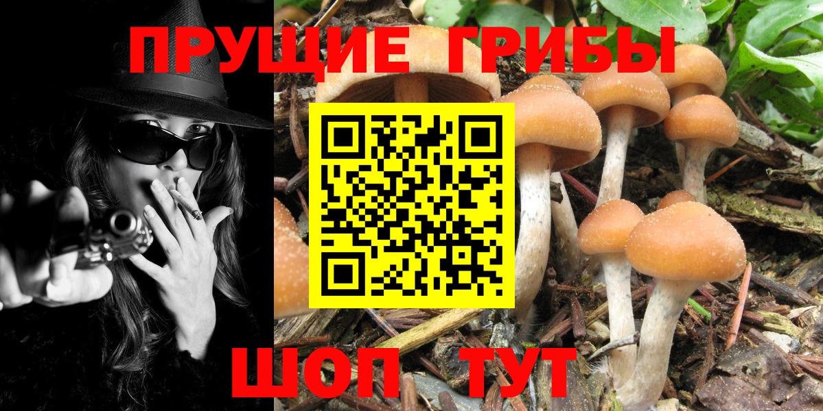 Галлюциногенные грибы ЛСД Набережные Челны