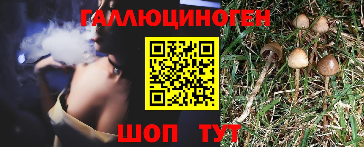 Галлюциногенные грибы прущие грибы  Галлюциногенные грибы Psilocybine cubensis  Набережные Челны  Вход с VPN 